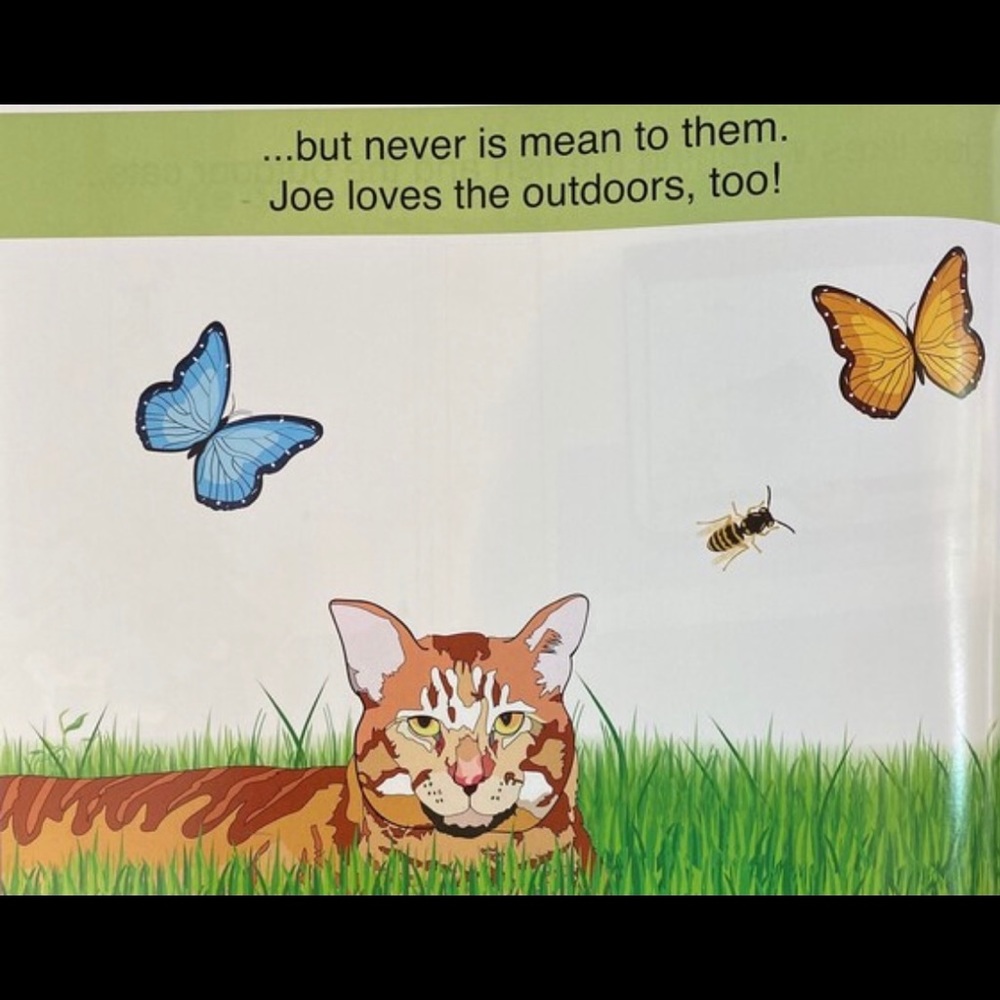 Children’s Book - CJ’s Tale - Picture 3 of 5